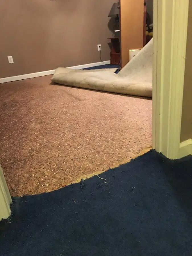 Carpet pad removal revealing water damage during Drying & Dehumidification in Kewanee