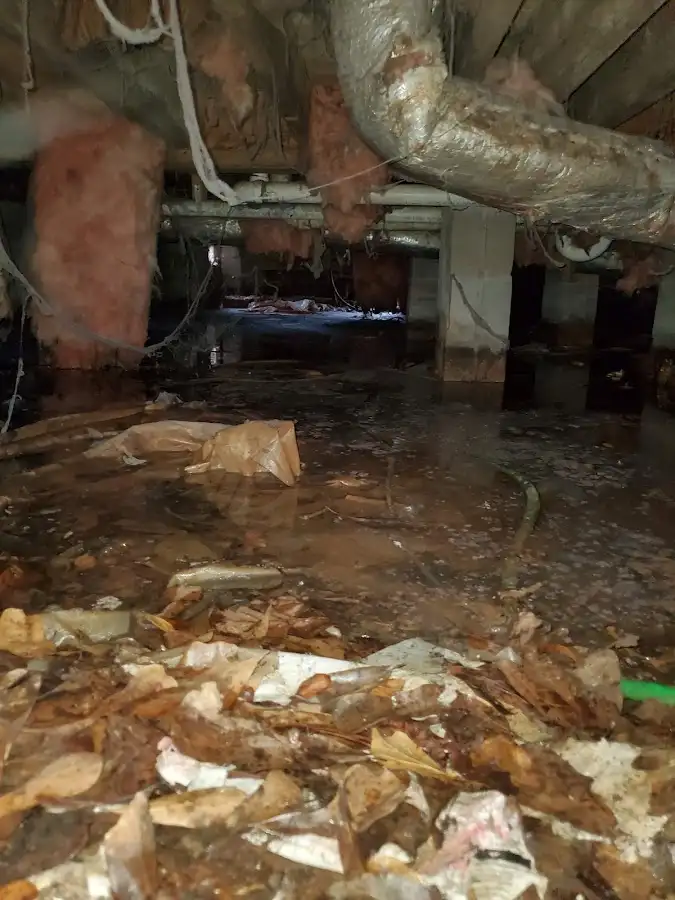 Crawl space flood assessment for Leak Detection & Repair in Kewanee