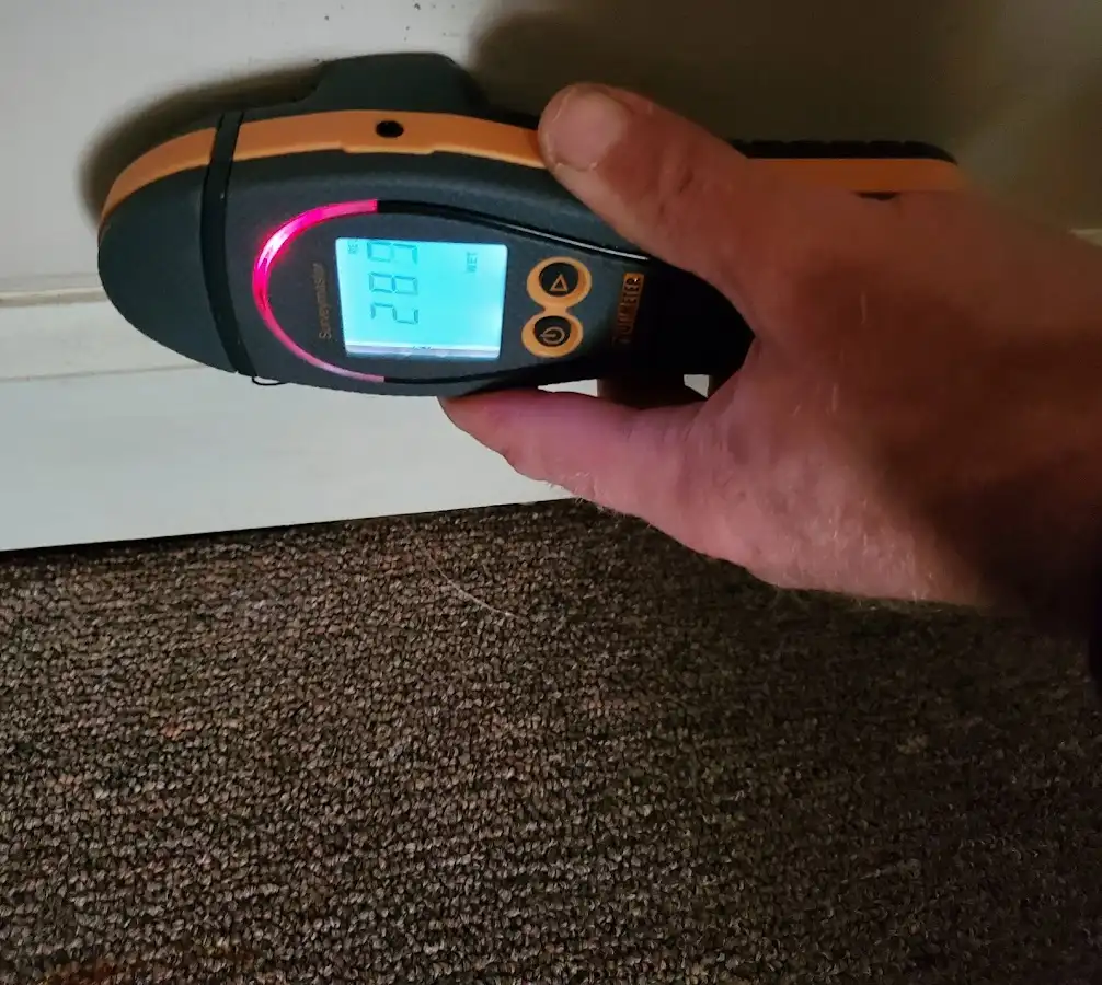 Moisture detection at baseboard during Mold Inspection & Testing in Kewanee